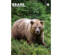 Bears 2026 Calendar, A3, Wirobound, Full Colour.