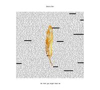 BEAR'S DEN - So That You Might Hear Me [VINYL]