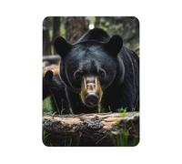 Bears in Forests Funny Car Air Freshener Automotive Aromatherapy Tablets for Rearview Mirror Wardrobe Shoe Cabinet