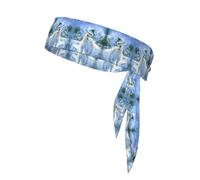 Bears Northern Lights Unisex Sports Head Tie - Double-Sided, Moisture-Wicking Workout Headband, Adjustable Knotted Band for Running, Yoga & Gym
