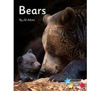 Bears: Phonics Phase 5 (Reading Stars Phonics)