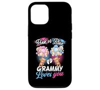 Bears Pink Or Blue Grammy Loves You Gender Reveal Case for iPhone 12/12 Pro