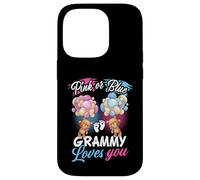 Bears Pink Or Blue Grammy Loves You Gender Reveal Case for iPhone 14 Pro