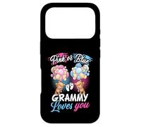 Bears Pink Or Blue Grammy Loves You Gender Reveal Case for iPhone 17 Pro