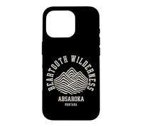 Beartooth Wilderness s Absaroka Montana s Hiking Nature Case for iPhone 16 Pro