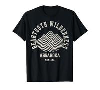 Beartooth Wilderness s Absaroka Montana s Hiking Nature Value Graphic T-Shirt, Men, Black, S