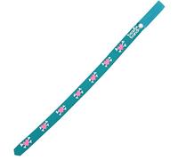 Beastie Band Cat Collar Hearts and Crossbones (Teal)