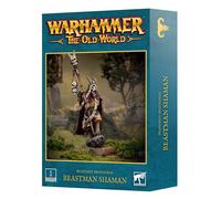 Beastmen Brayherds: Beastman Shaman