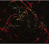 Beat Spacek - Modern Streets