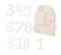Beatifufu 1set Monthly Wooden Discs Chic Photo Props for Newborns for Recording Growth Moments Shower Memory Keepsake