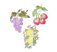 Beatifufu 3pcs Fruit Embroidered Sewing Patches Sew Applique for Jackets Clothes Repair and Decoration Cloth Material Easy to Cut and Wash DIY Craft Accessories