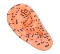 Beatifufu Ear Model Reflexology Training Tool Human Ear Simulation for Massage Practice and Acupuncture Learning in Traditional Chinese Medicine