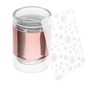 Beatifufu Nail Art Stamping Tool Set Double- Silicone Stamper Rose Pattern Plate for Creative Nail Designs and Manicures