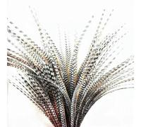 Beatiful Artificial Feather 70-100CM Long Quality Pheasant Tail Feather Pheasant Plume for Halloween Carnival Headwear-80cm 32inch-10pcs