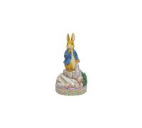 Beatrix Potter by Jim Shore Peter Rabbit with Onions Figurine