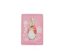 Beatrix Potter Flopsy Magnet Stationery