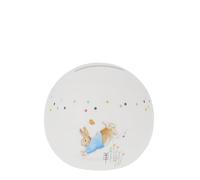 Beatrix Potter Money Bank, Vibrant Colour