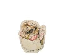 Beatrix Potter Mrs Tiggy-winkle Wooden Magnet Magnet