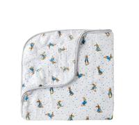 Beatrix Potter Peter Rabbit Blanket Nursery Set