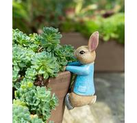 Beatrix Potter Peter Rabbit Hanging Plant Pot Hanger - L11 x W4 x H5.5 cm