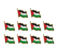 BEATYRABBIT 10PCS Palestine Brooch Pin Palestinian National Flags Brooches for Suit Jacket Palestine National Enamel Lapel Badge Armband for Women Men
