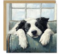 Beau Willows Border Collie Birthday Card from the Dog - Adorable Sleeping Dog Card for Dog Mum, Dad, Wife, Husband, Girlfriend, Boyfriend