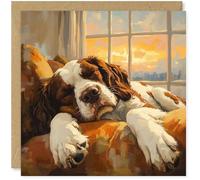 Beau Willows English Springer Spaniel Birthday Card from the Dog - Adorable Sleeping Dog Card for Dog Mum, Dad, Wife, Husband, Girlfriend, Boyfriend