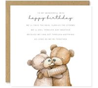 Beau Willows Happy Birthday Card For Wife - We Can Get Through Anything, As Long As We're Together - Cute Love Greetings Card