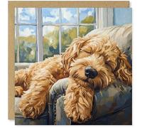 Beau Willows Labradoodle Birthday Card from the Dog - Adorable Sleeping Dog Card for Dog Mum, Dad, Wife, Husband, Girlfriend, Boyfriend