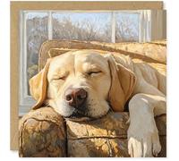 Beau Willows Labrador Birthday Card from the Dog - Adorable Sleeping Dog Card for Dog Mum, Dad, Wife, Husband, Girlfriend, Boyfriend