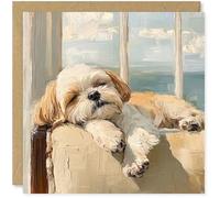 Beau Willows Shih Tzu Birthday Card from the Dog - Adorable Sleeping Dog Card for Dog Mum, Dad, Wife, Husband, Girlfriend, Boyfriend