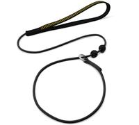 BeauGo| Slip Leads for Dogs | Dog Training Leash | 2-in-1 Slip Collar Dog Training Lead & Collar,Thin Slip Lead,No Pull Ultimate Training.Slip Leash for Dogs 4.6ft (Black)