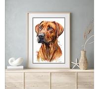 Beauitiful vivid fine art print of a Rhodesian Ridgeback Dog painting (picture 4) (A4 PRINT ONLY) (29.7 X 21CM)