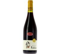 Beaujolais Nouveau - Terra Iconia 2025 - Vignerons des Pierres Dorées