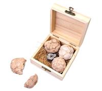Beaupretty 1 Box Gem Mining Kit for Safe Natural Crystals Educational Geology Exploration Fun Gemstone Excavation Activity Includes Four Original Mineral Specimens for Science Learning