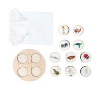 Beaupretty 1 Set Animal Growth Cycle Models Educational Life Cycle Figures for Cognitive Learning Early Education for Parties and Nature Exploration