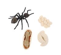 Beaupretty 1 set Cognitive Ant Models Environmental Cycle Model Kit for Early Education Simulation Ant Figurines for Learning and Creative Play