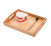 Beaupretty 1 Set Educational Wooden Brushing for Fun Wash Gargle Plaything Early Learning Teeth Brushing Model to Teach Habits and Enhance Parent Bonding Random Color