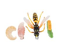 Beaupretty 1 Set Wasp Life Cycle Figurines Educational Simulation Ornaments for Cognitive Development for Room Decor and Understanding Nature