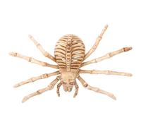 Beaupretty 1pc Scary Skeleton Spider Decor Lifelike Beige Bone Halloween Decoration for Creepy Atmosphere Easy to Hang Made From Color Random Color