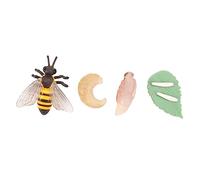 Beaupretty 1Set Creative Simulation Animal Growth Ornaments Insect Life Cycle Models for Learning Display Educational for Storytelling Nature Exploration