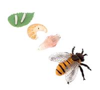 Beaupretty 1Set Educational Simulation Bee Growth Cycle Model of Miniature Insect Life Cycle Figurines for Safe Material Birthday Party Favor