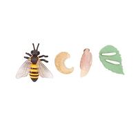 Beaupretty 1Set Simulation Animal Evolution Model Educational Animal Display for Parties Storytelling and Teaching Material for and Imaginative