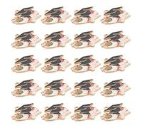 Beaupretty 20pcs Alloy Graduation Cap Keychains Pendants for Necklace and DIY Jewelry Making, Mini Doctoral Hat Charm for Graduation Week Keepsake, Easy to Mix and Match Accessories