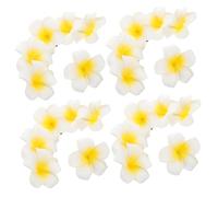 Beaupretty 25pcs Plumeria Flower Girls Hair Accessories Hawaiian Floral Clip for Beach Vacation Party