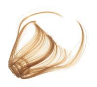 Beaupretty 2pcs Clip Bangs Hair Extension Women Front Hair Bang Fringe for Cosplay Prop