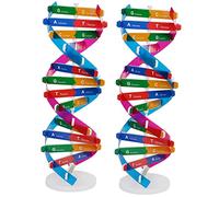 Beaupretty 2pcs Dna Double Helix Model Science Teaching Instrument Biology Educational Kit for Students and Teachers Middle School Genes Learning Tool
