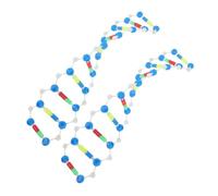 Beaupretty 2pcs Dna Molecular Model Kit for Students and Educators Double Helix Structure Teaching Tool for Biology Learning Laboratory Research and Science Instruction