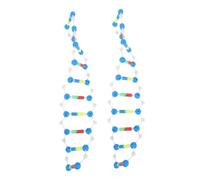 Beaupretty 2pcs Dna Teaching Model Double Helix Structure Molecular Kit for Biology Class Science Education Genetics Study Tool for Students and Teachers