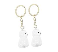 Beaupretty 2pcs Dog Hair Keepsake Keychain Clear Case Memorial Pet Hair Holder Portable Space-saving Souvenir Charm for Dog Owners to Preserve Precious Fur
